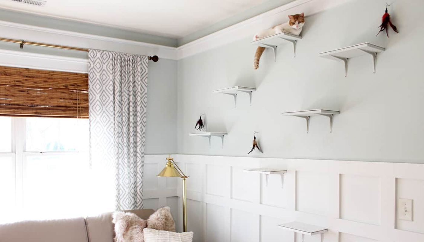 Cat Play Room - Ideas, designs and products